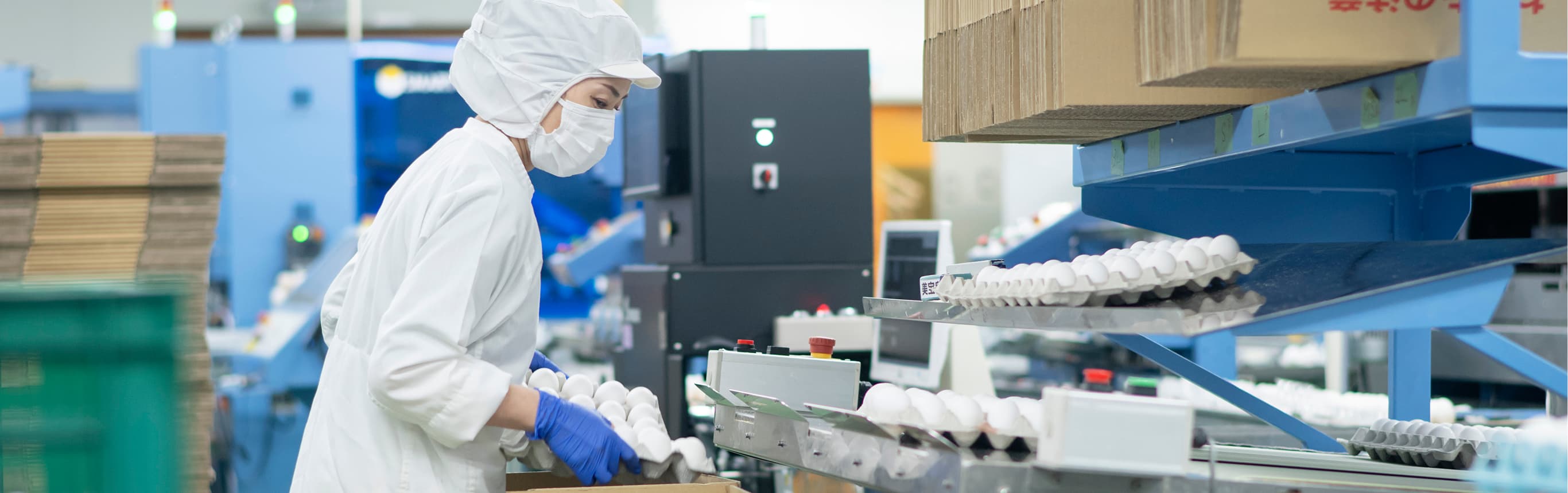 フカベエッグの職場で働く社員たち