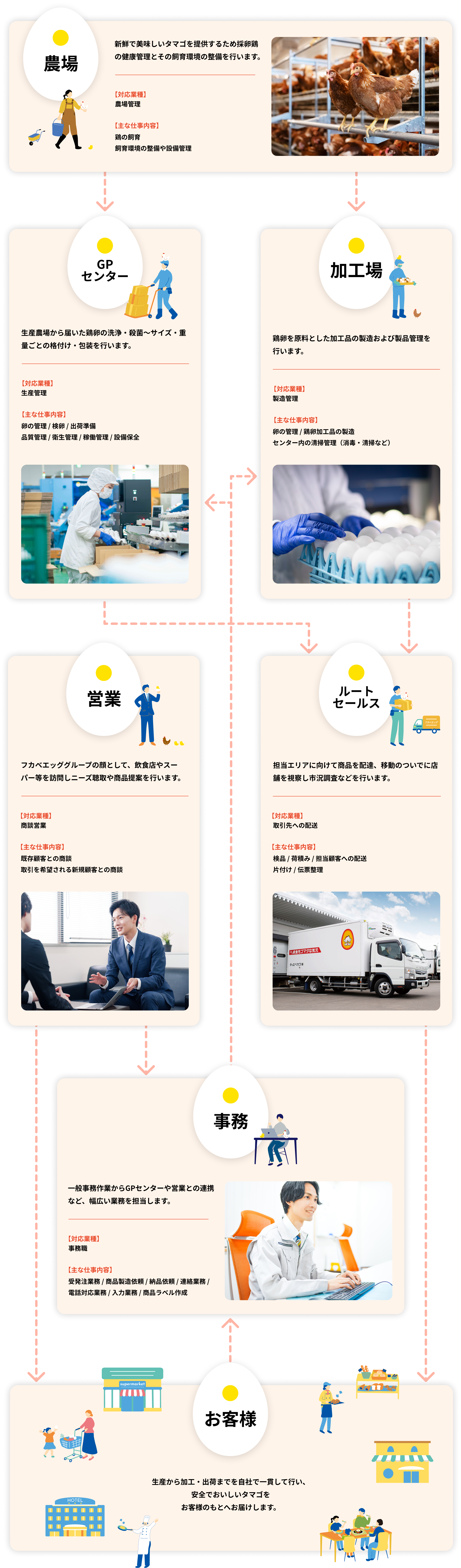 仕事の流れ：農場→GPセンター→加工場→営業/ルートセールス→事務→お客様